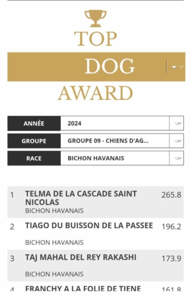 de la Cascade Saint Nicolas - TELMA MEILLEURE BICHON HAVANAIS 2024