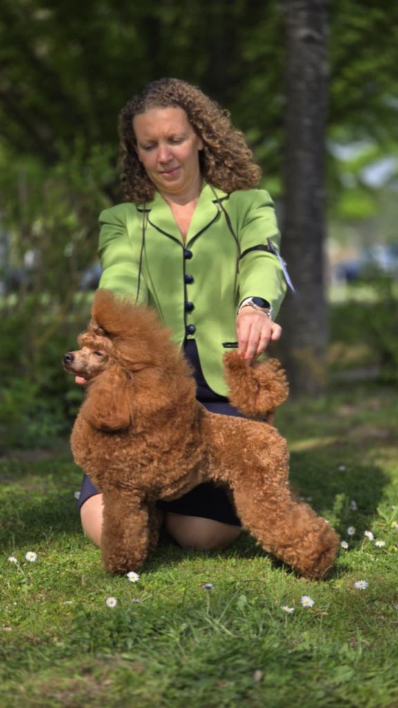 CH. giulfo Emerald-f