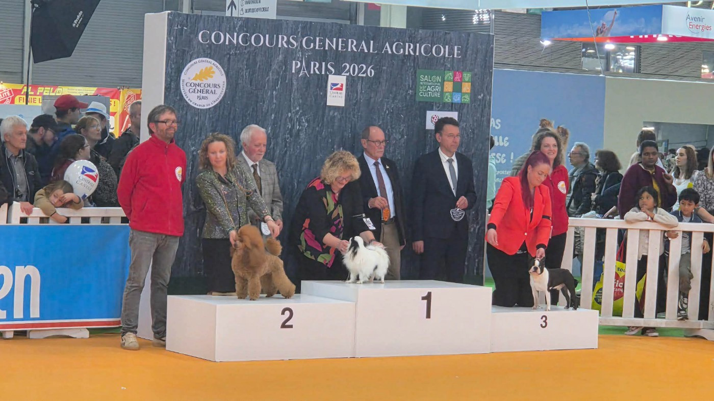 SALON DE L AGRICULTURE